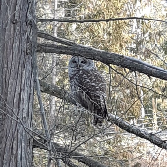 Meet the Posher Other - Meet your Posher, TL